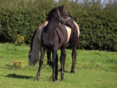 Loguestown Oscars Night September 2013