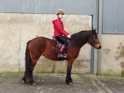 Petra - beginning her ridden education