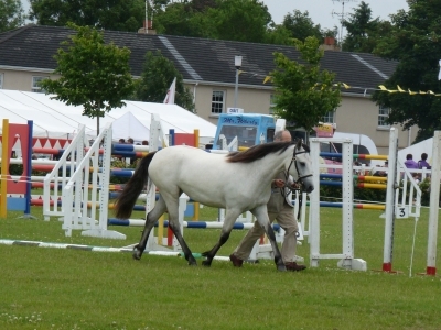 Poppy - Omagh Show 2010