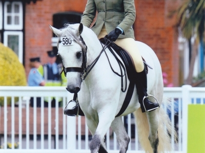 Poppy - Dublin Horse Show 2013