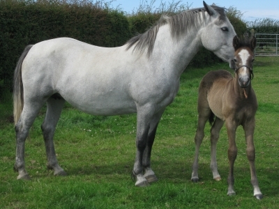 Misty and Marty 2009