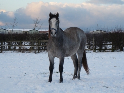 Marty Winter 2010