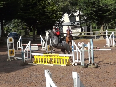 Marty - Schooling at Maddybenny 2013