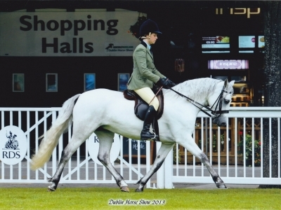 Poppy coming second at Dublin Horse Show 2013
